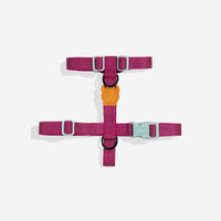 Zee.Dog | H Harness | NOX Sidus