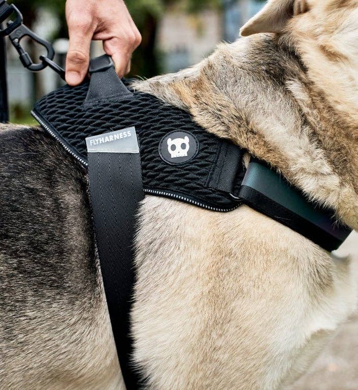 Gotham | FlyHarness
