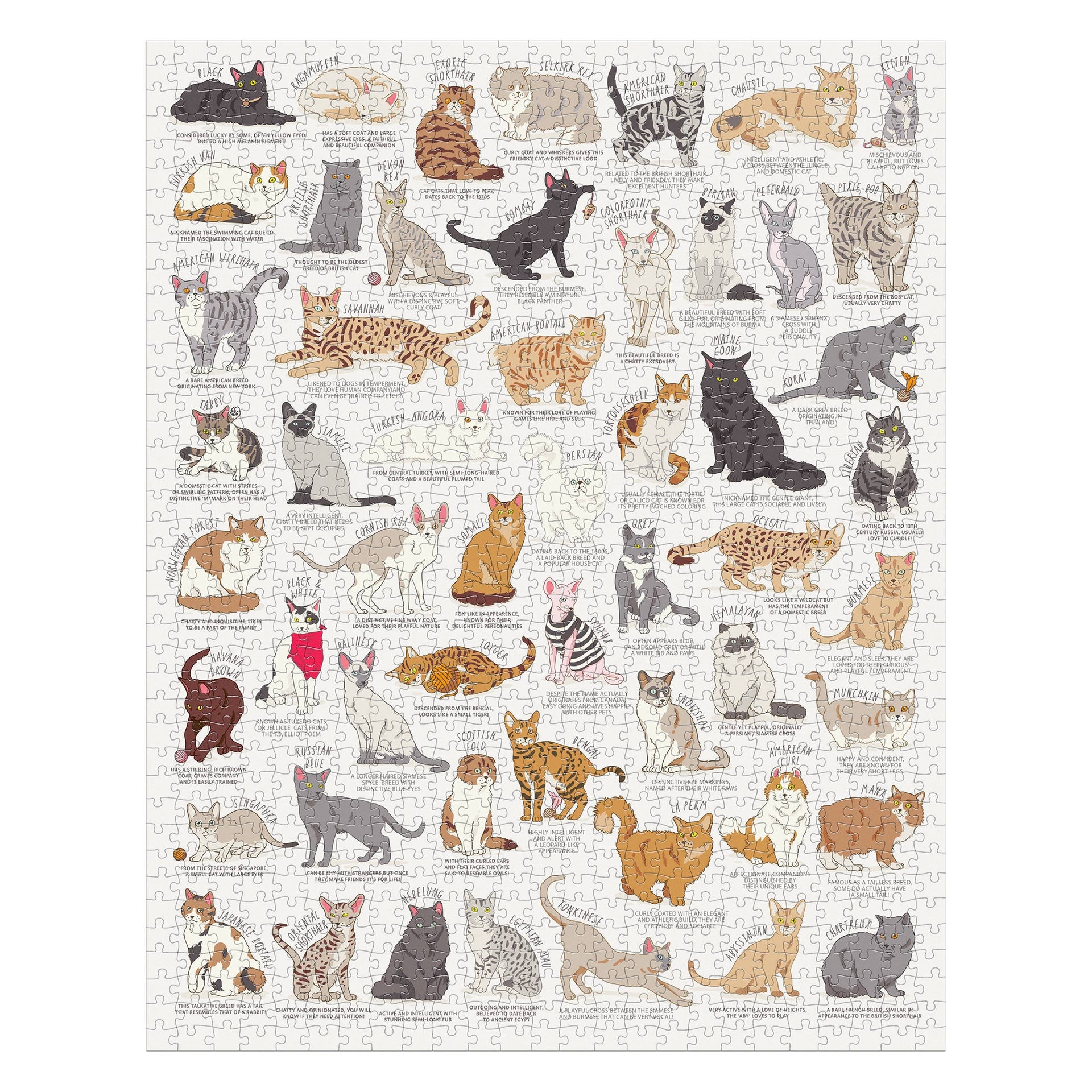 Cat Lover's 1000 Piece Puzzle
