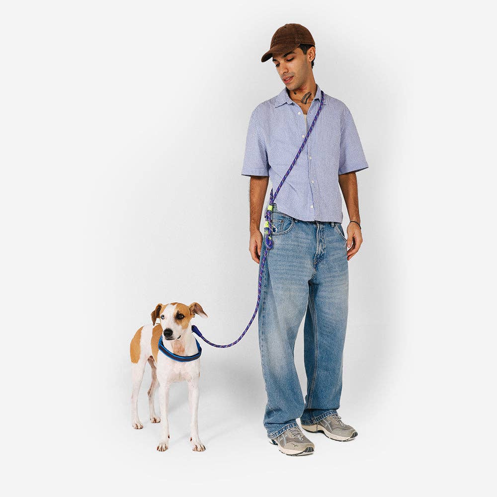 Zee.Dog Tokyo Hands-Free Leash shown in use during an outdoor walk with a dog.