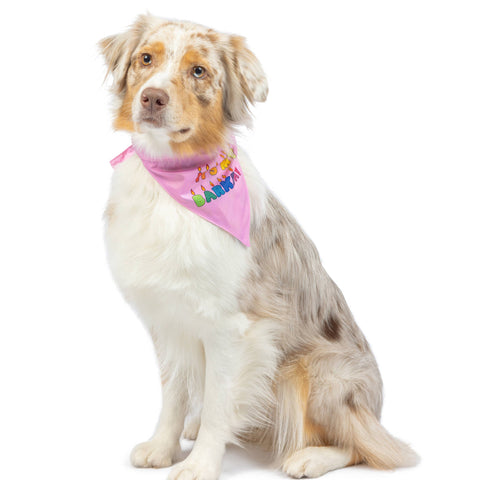 Party Time Pink Bandana