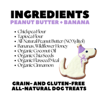 Dog Birthday Treat | Purple Dog Birthday Party Hat Dog Treat
