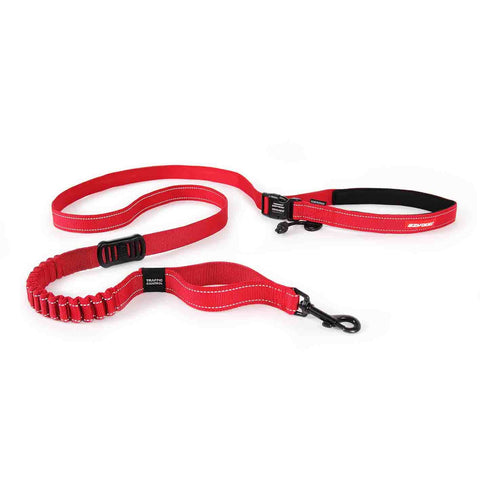 EzyDog | Road Runner Leash