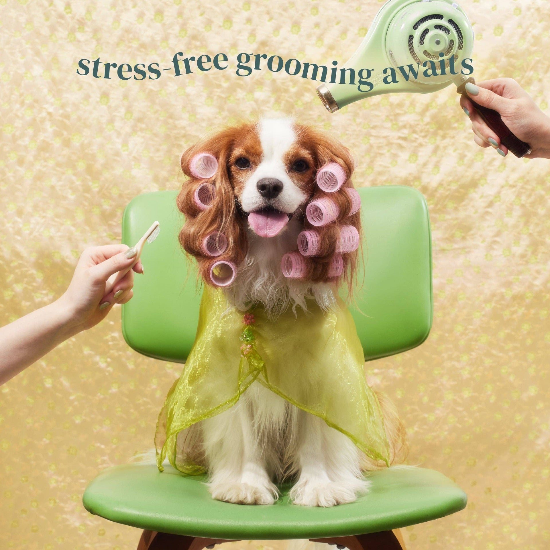 Petora | Pet Facial & Eye Comb