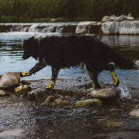 Carolina Pet Company Body Glove Paw Protector Booties shown with size reference or packaging detail.