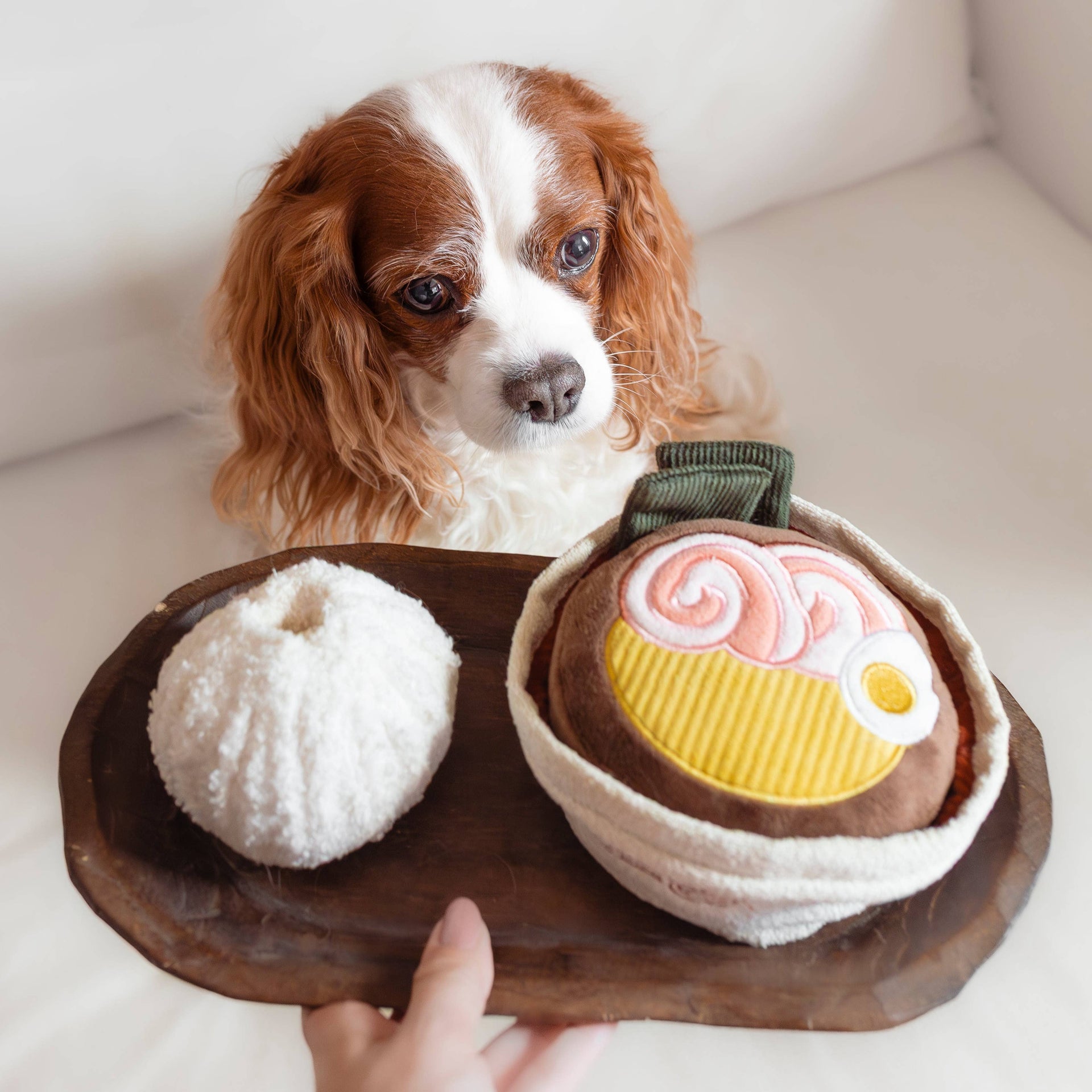 Dog playing with Lambwolf Collective RAMEN snuffle toy, demonstrating the interactive foraging and enrichment experience.