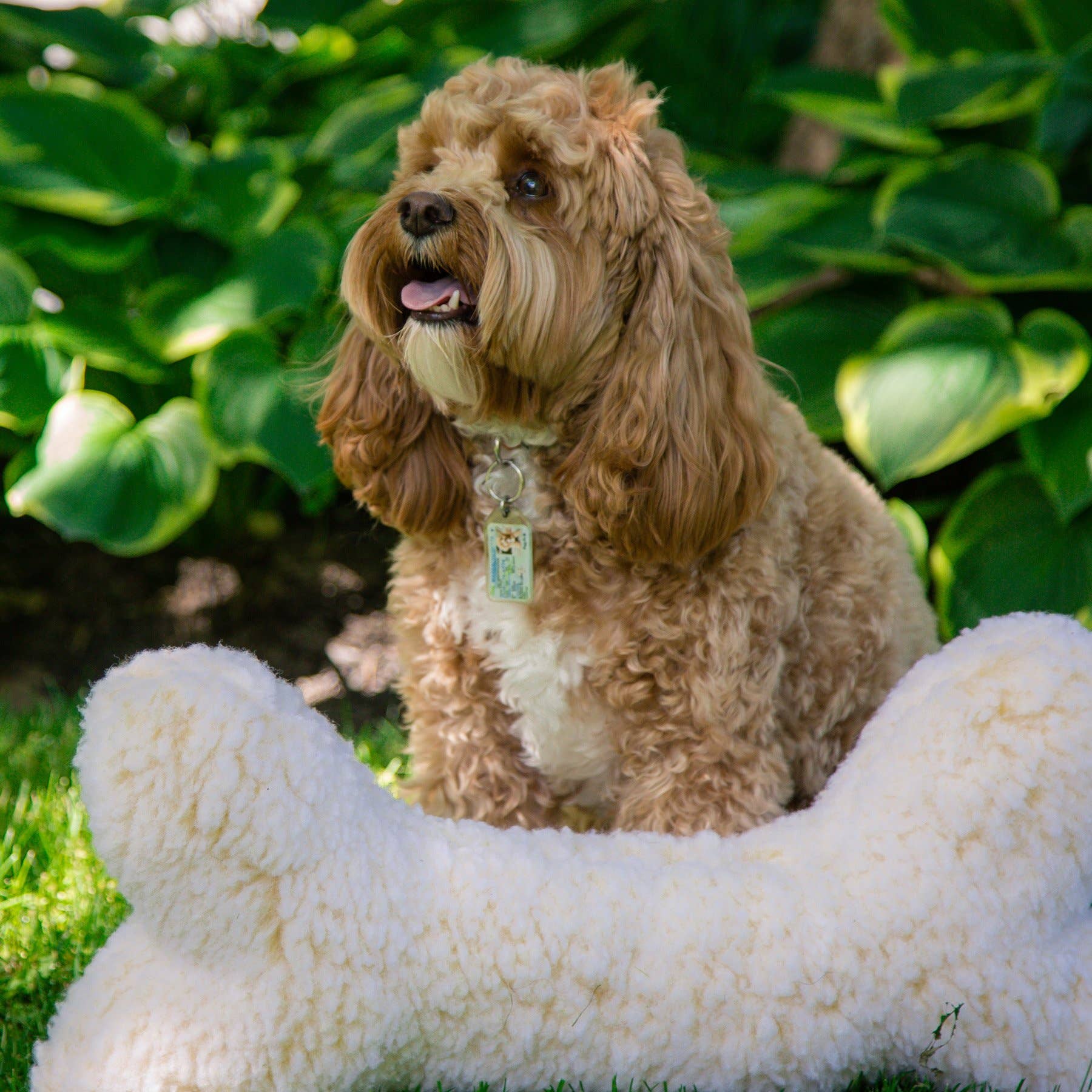 HuggleGroup | HuggleFleece® 2' Bone