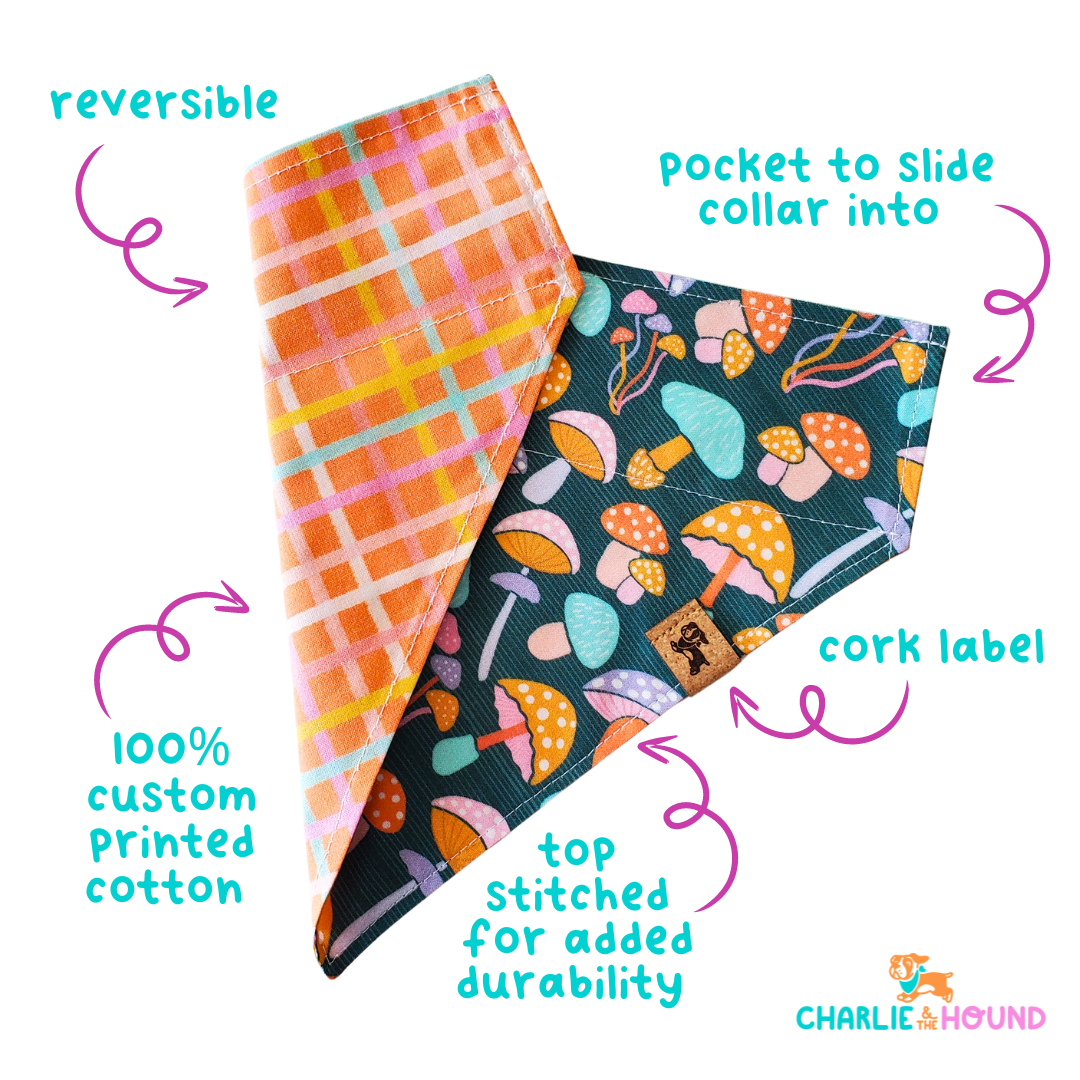Charlie & the Hound Pink Boho Reversible Bandana shown worn by dog displaying one decorative side pattern.