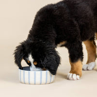 Close-up detail of the Petshop by Fringe Studio Powder Blue Scalloped Bowl showing its decorative ridged rim.