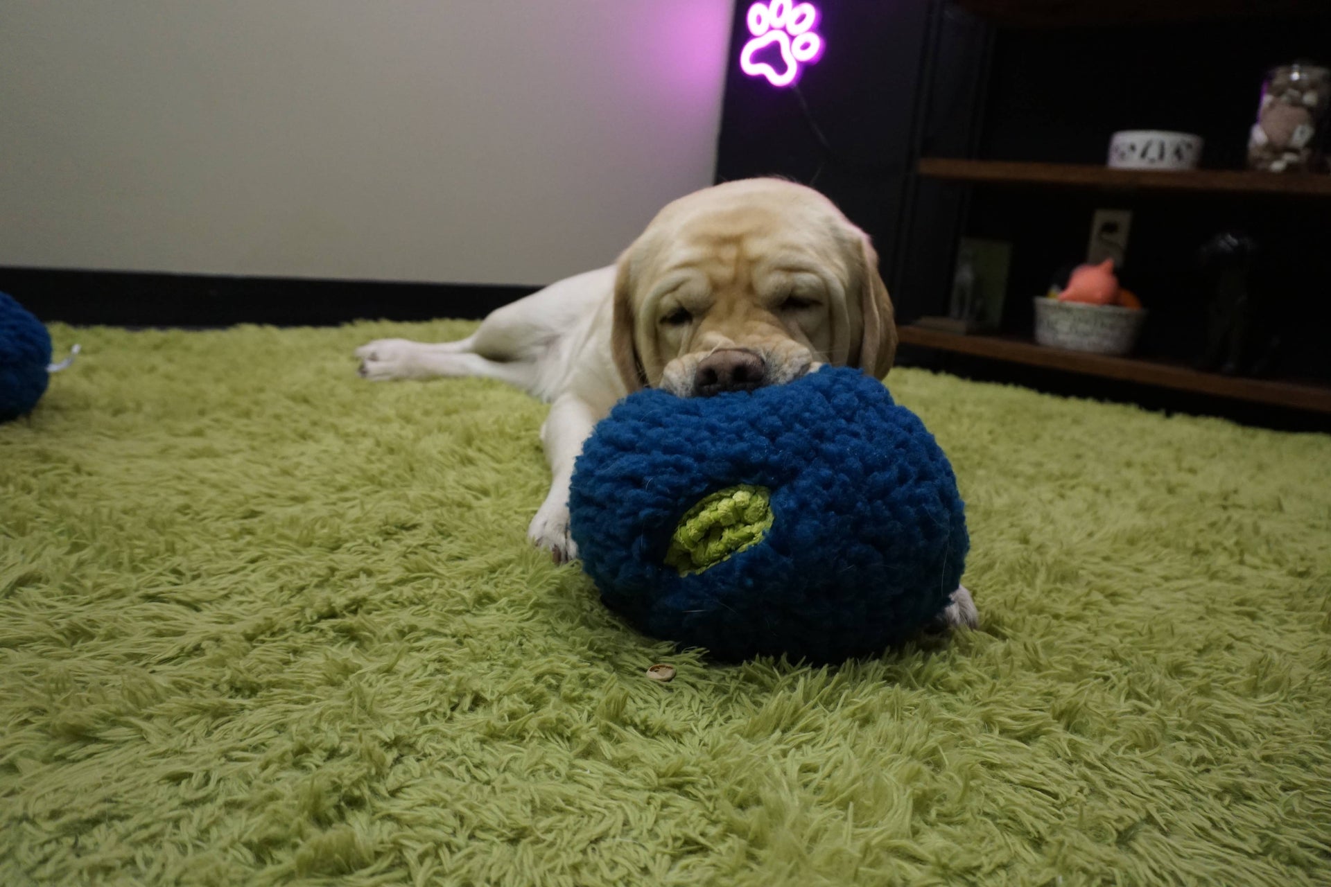 HuggleGroup | HuggleFleece | Treat Trap