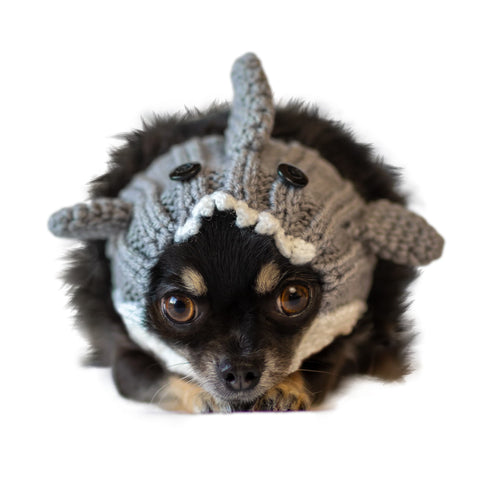 Great White Shark Dog Snood
