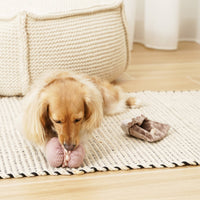 Lambwolf Collective Petite Two enrichment dog toy set showing madeleine and croissant-shaped snuffle and burrow toys.