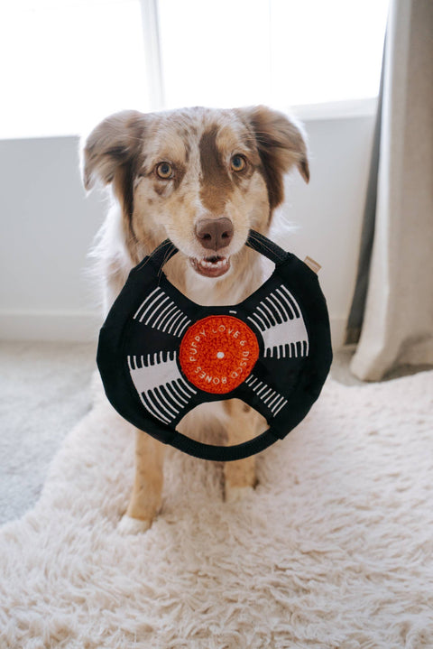 Lambwolf Collective BARK TO BEAT hybrid enrichment toy with durable construction for power-chewing dogs.