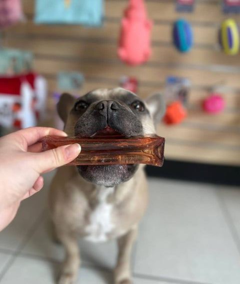 Mighty Marrows Dental Chew | Bacon