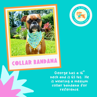 Bunny Pops Reversible Bandana