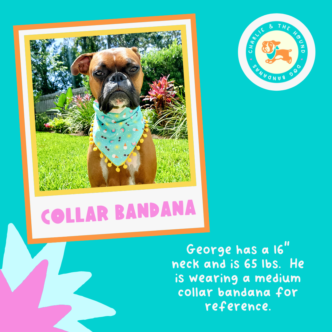 Charlie & the Hound Heart Macarons Reversible Bandana being worn by dog showing secure collar attachment