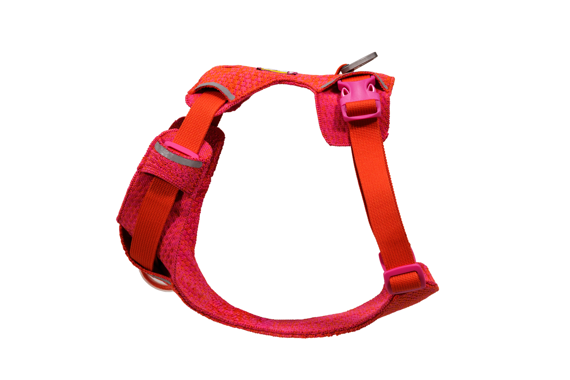 Ruffwear Front Range Flex Harness worn by active dog during outdoor adventure showcasing flexible knit construction.