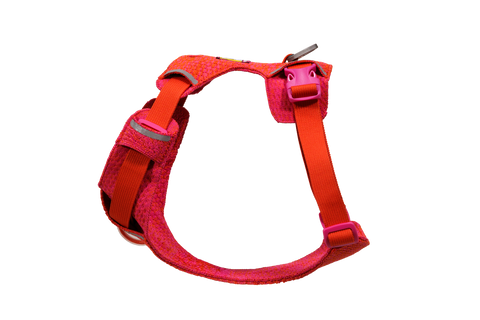 Ruffwear Front Range Flex Harness worn by active dog during outdoor adventure showcasing flexible knit construction.