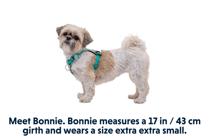 Ruffwear | Hi & Light Harness