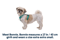 Ruffwear | Hi & Light Harness