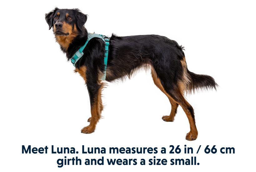 Ruffwear | Hi & Light Harness