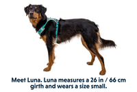 Ruffwear | Hi & Light Harness