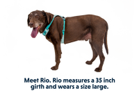 Ruffwear | Hi & Light Harness