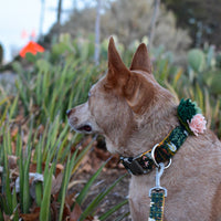 Close-up detail of three handcrafted felt succulents on Mimi Green's botanical dog collar accessory showing artisan texture.