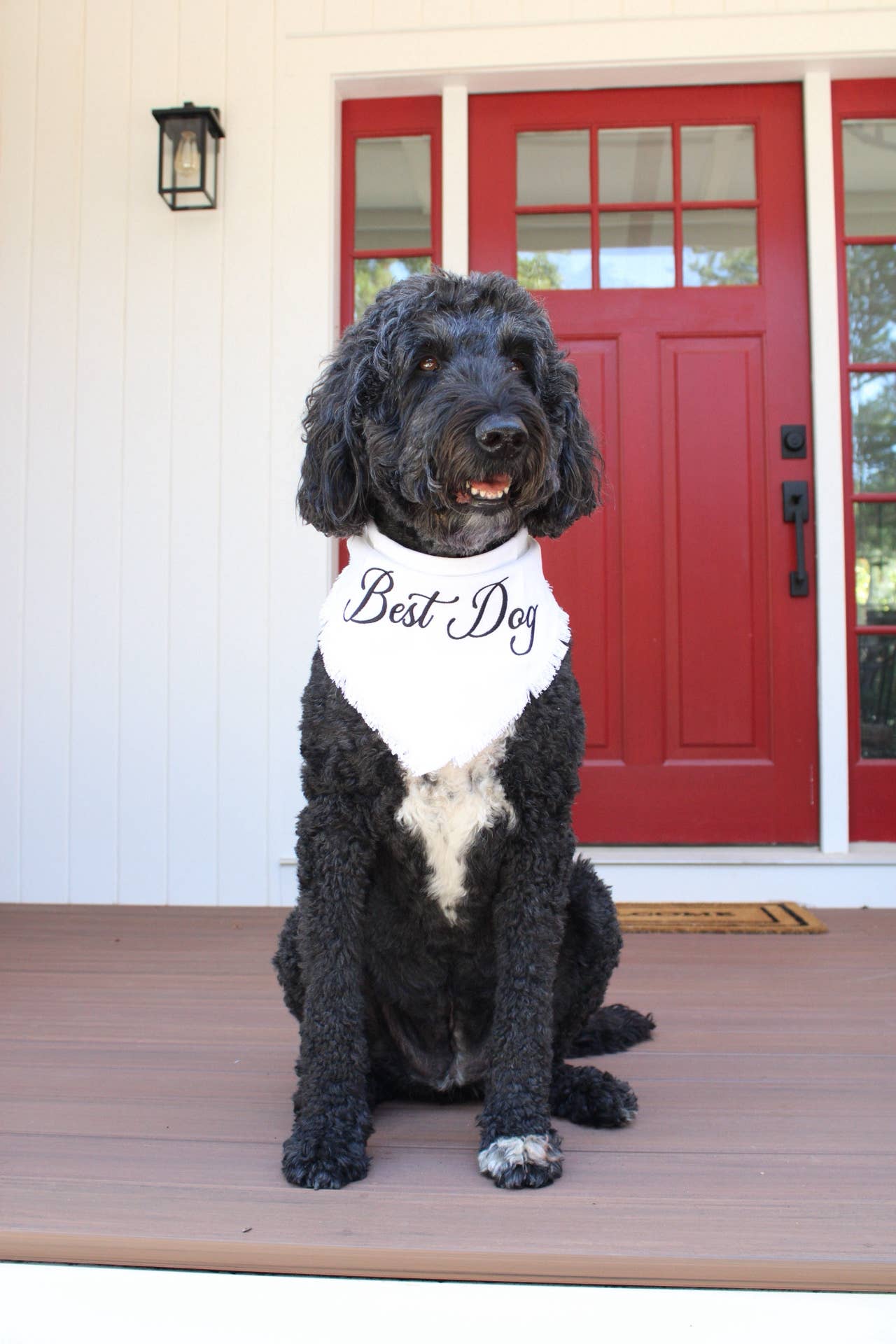 Two Tails Pet Company Best Dog bandana showing detailed fabric texture and celebratory text lettering.