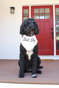 Two Tails Pet Company Best Dog bandana showing detailed fabric texture and celebratory text lettering.