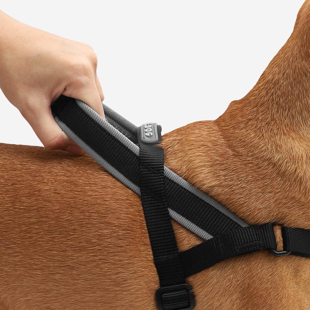Close-up detail of the Zee.Dog SofterWalk Harness in Gotham colorway showing strap texture and hardware.