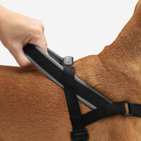 Close-up detail of the Zee.Dog SofterWalk Harness in Gotham colorway showing strap texture and hardware.