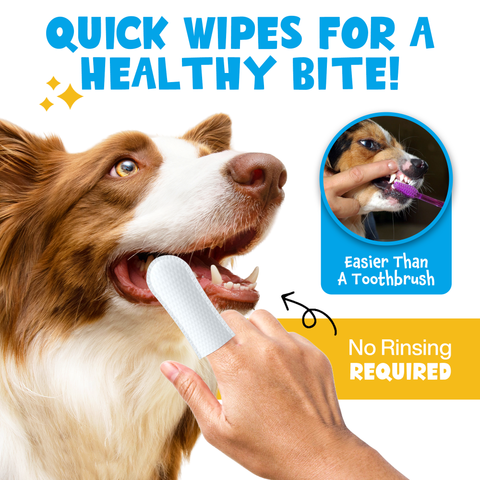 Roofus dental wipes package showing 60-count label and dual-sided textured cleaning surface detail.
