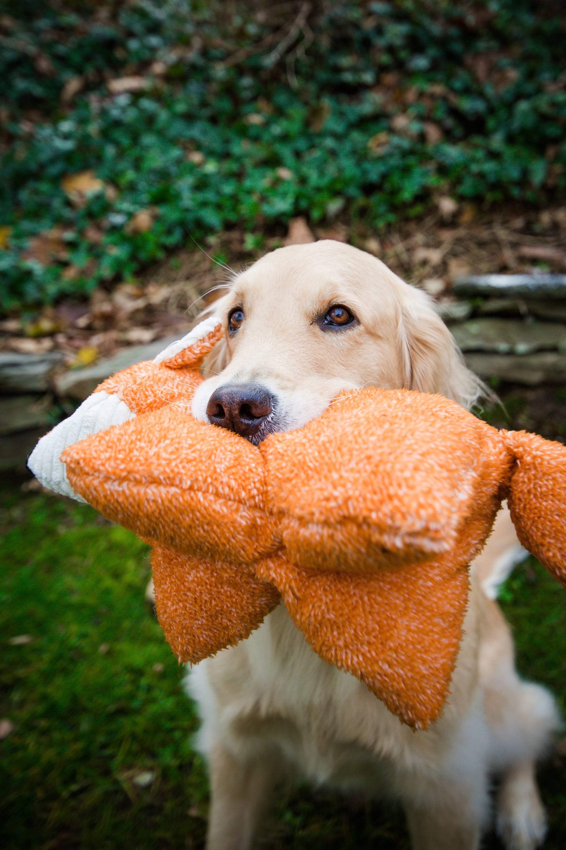 HuggleGroup | Squooshie™ Fox