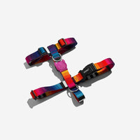Zee.Dog | H Harness | Prisma