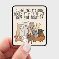 Sometimes My Dog Looks at Me Sticker