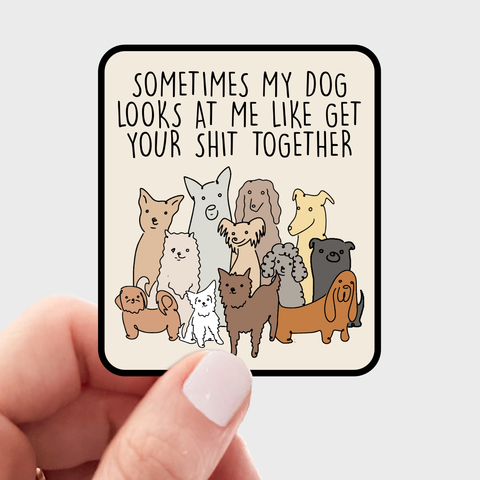 Sometimes My Dog Looks at Me Sticker