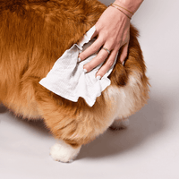 Natural Dog Co. | Wipes | Grooming