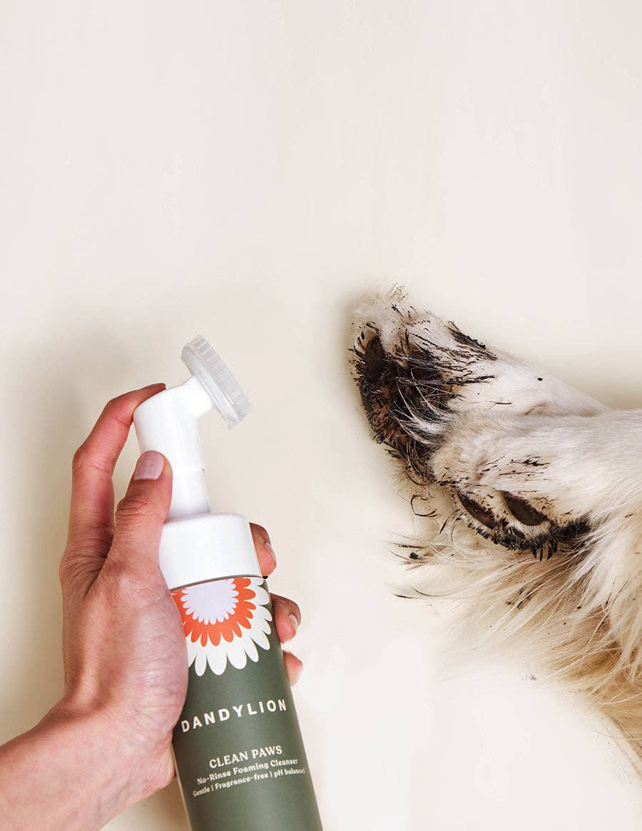 Dandylion | Clean Paws Foaming Cleanser