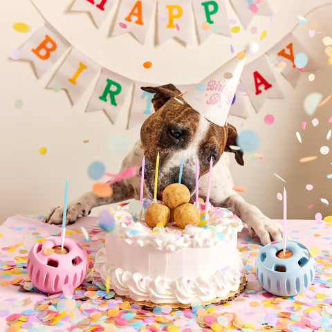 Woof | Pupsicle Pops | Birthday