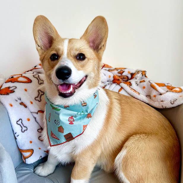 Summer Camp Pet Bandana