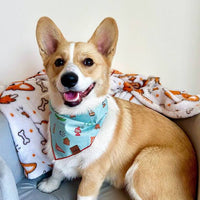 Summer Camp Pet Bandana