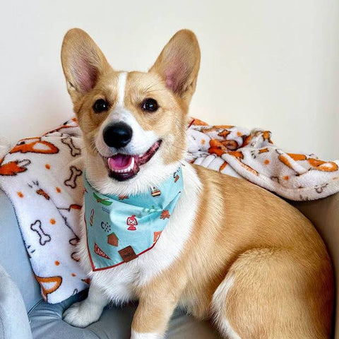 Summer Camp Pet Bandana