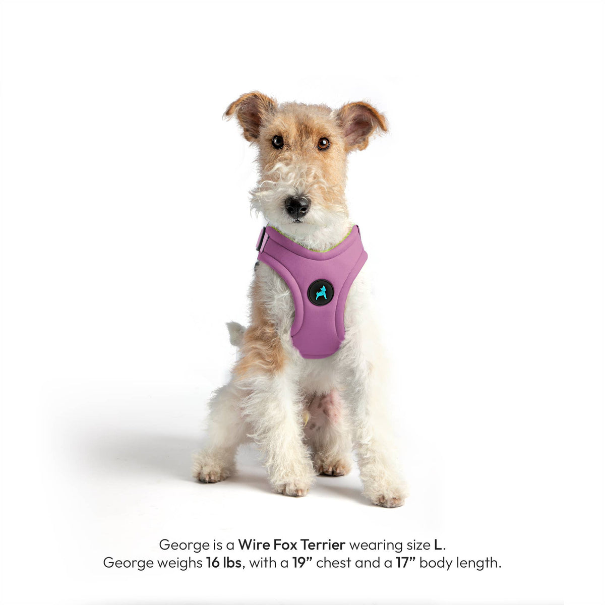 Gooby Escape Free Harness in pastel colorway shown from a detailed angle highlighting secure fit design.