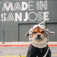 Great White Shark Dog Snood