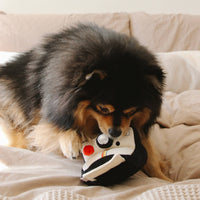Lambwolf Collective Instant Camera plush toy showing textured fabric details and interactive elements for dog enrichment.