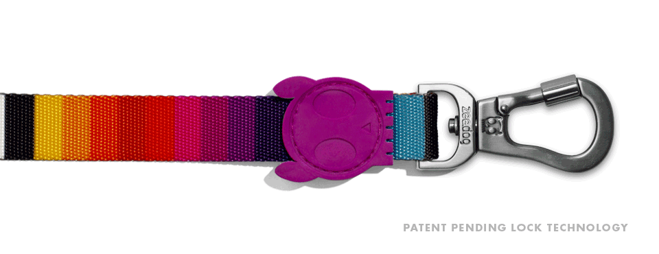 Zee.Dog | Leash | Prisma