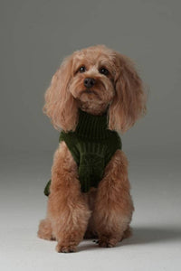 Small dog wearing the Pehom Pretzel Sweater, showcasing the cozy knit fit in a lifestyle setting.