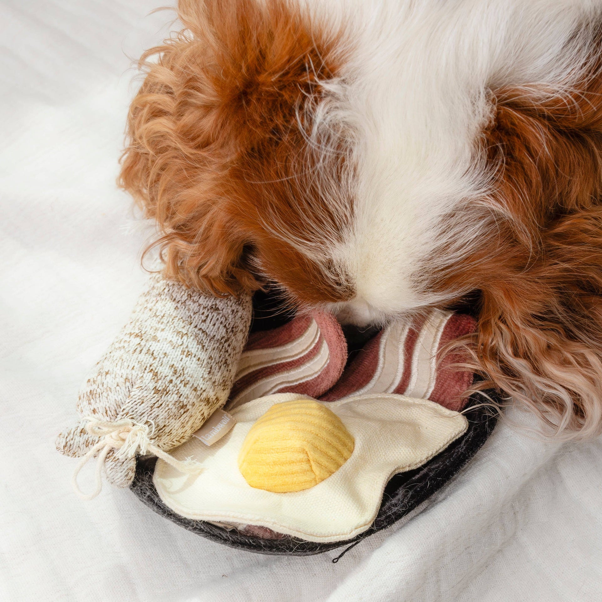 Lambwolf Collective Bfast Set snuffle toy showing textured fabric compartments and foraging elements for dog enrichment.