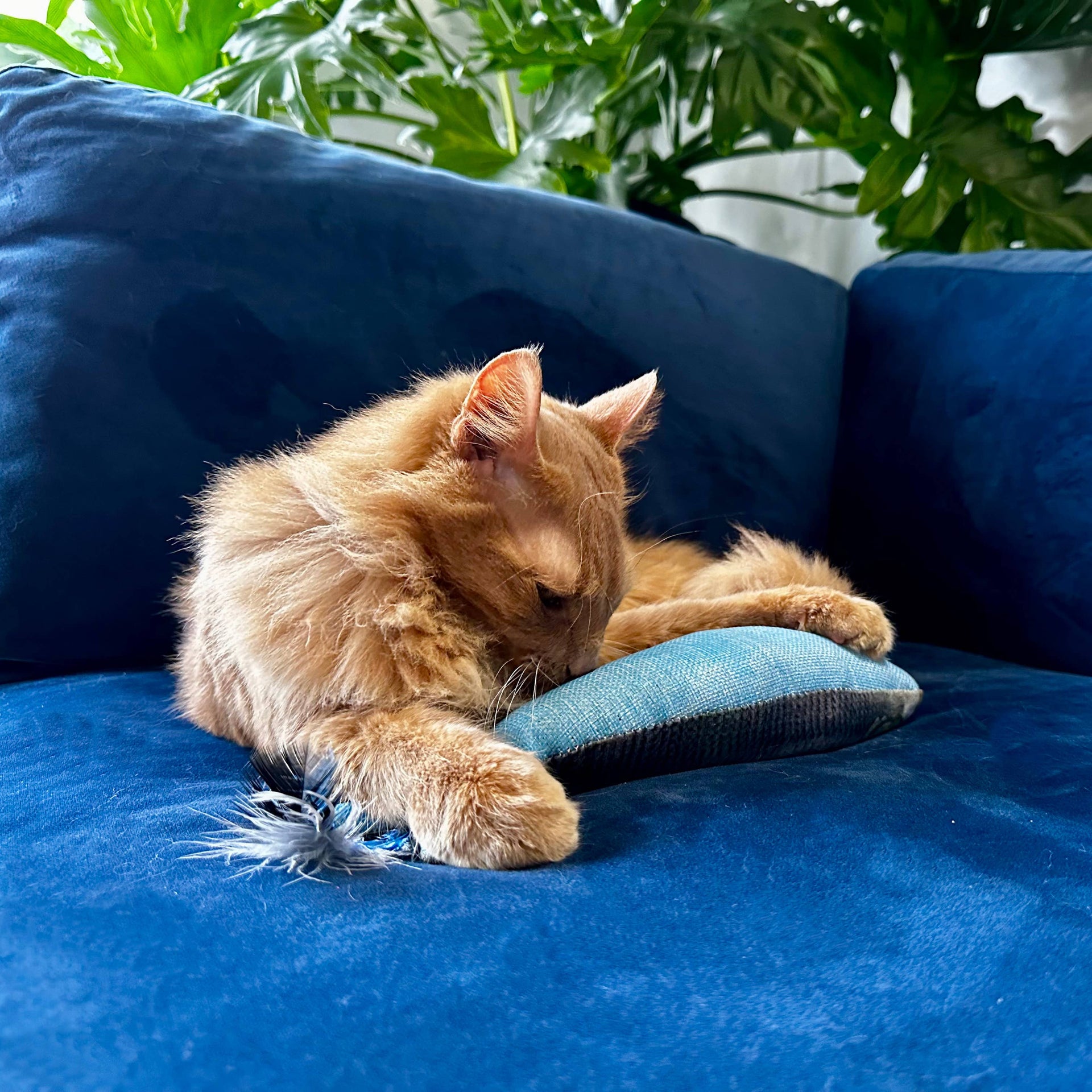 Huxley & Kent Sardine Kicker Cat Toy showing detailed view of crinkly plush fish design and texture.